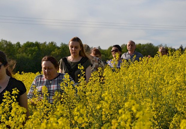 Pielgrzymka do Matki Bożej w lesie