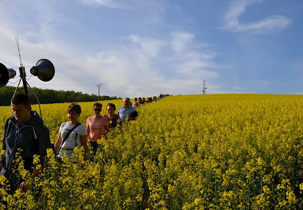 Pielgrzymka do Matki Bożej w lesie