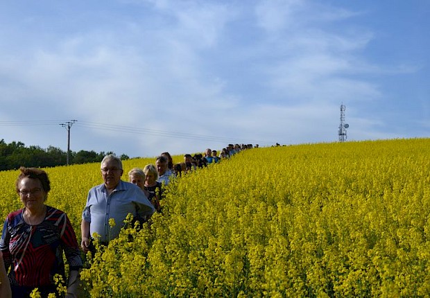Pielgrzymka do Matki Bożej w lesie