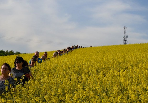 Pielgrzymka do Matki Bożej w lesie
