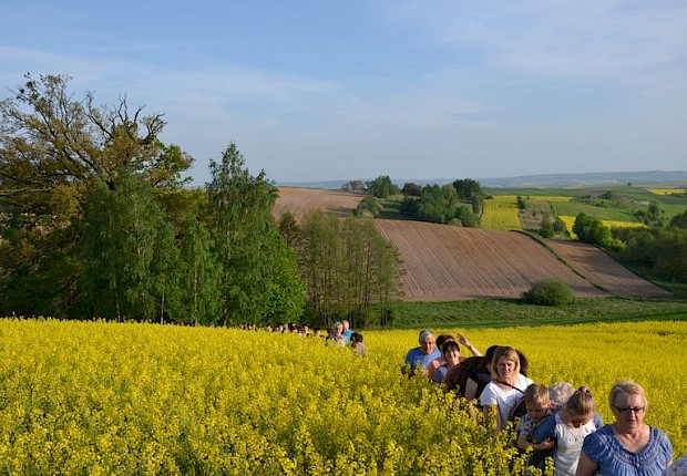 Pielgrzymka do Matki Bożej w lesie