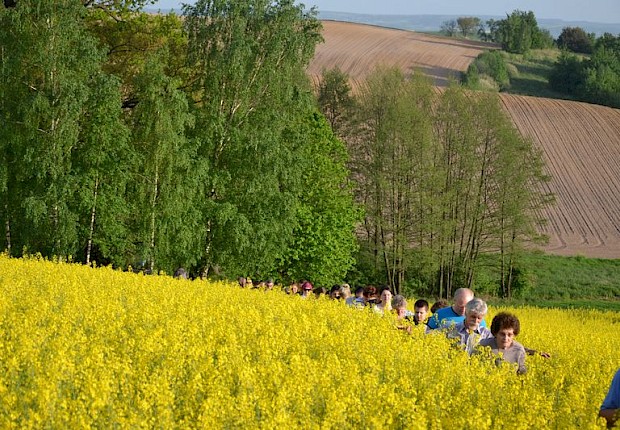 Pielgrzymka do Matki Bożej w lesie