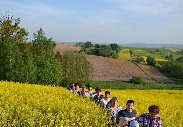 Pielgrzymka do Matki Bożej w lesie