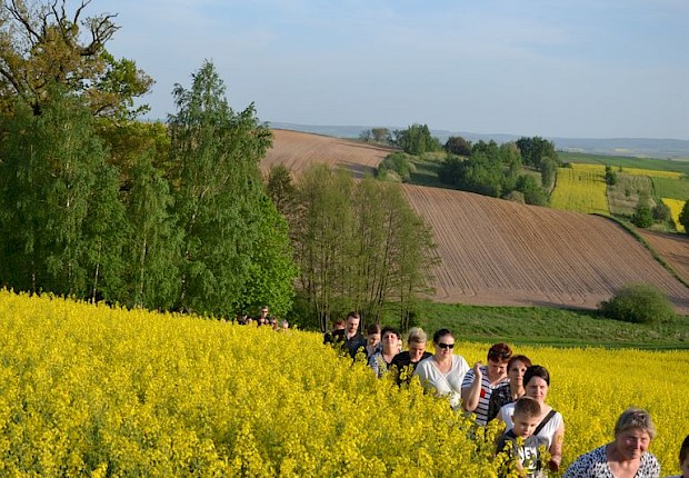 Pielgrzymka do Matki Bożej w lesie