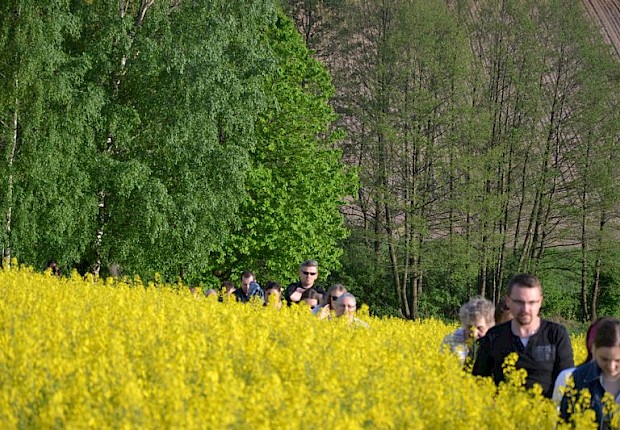 Pielgrzymka do Matki Bożej w lesie