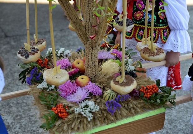 Dożynki wiejskie