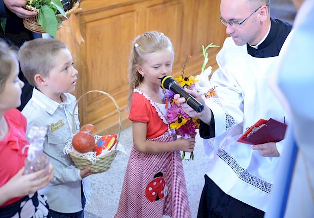 Dożynki wiejskie