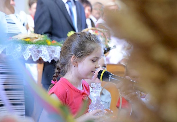 Dożynki wiejskie