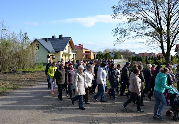 Pielgrzymka do Matki Bożej w lesie