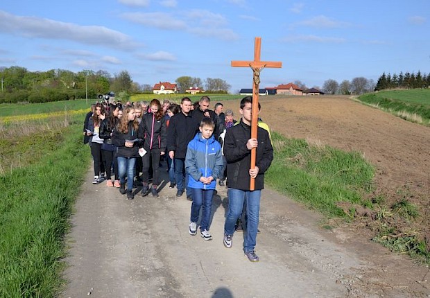 Pielgrzymka do Matki Bożej w lesie