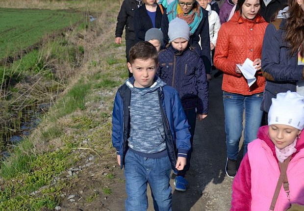 Pielgrzymka do Matki Bożej w lesie