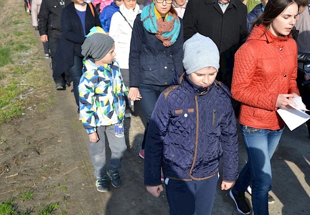 Pielgrzymka do Matki Bożej w lesie