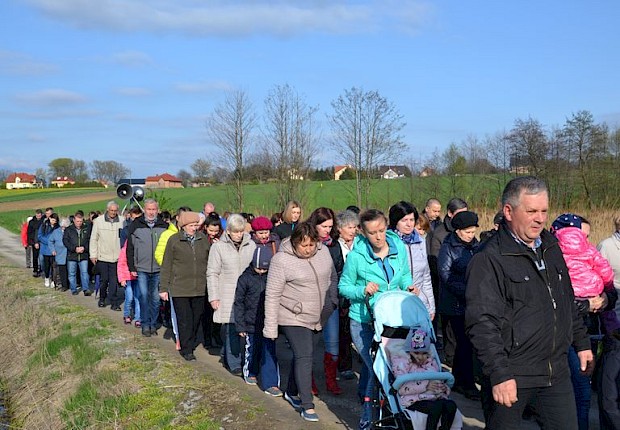 Pielgrzymka do Matki Bożej w lesie