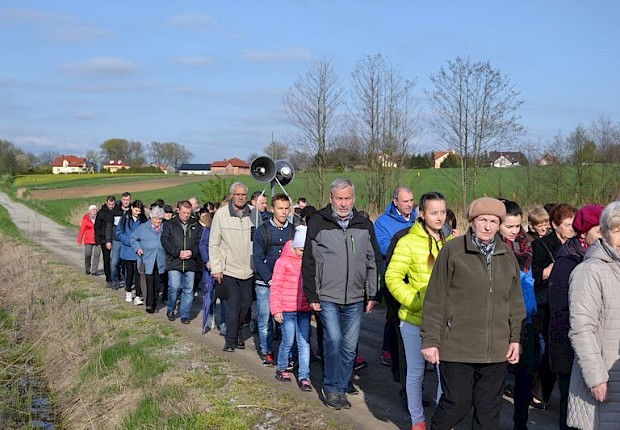Pielgrzymka do Matki Bożej w lesie