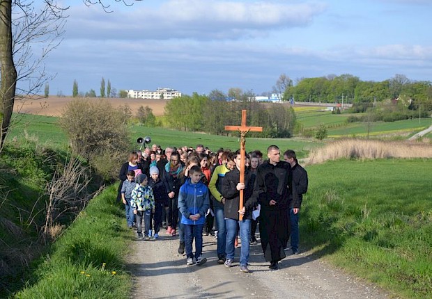 Pielgrzymka do Matki Bożej w lesie