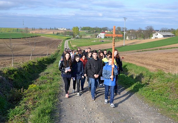 Pielgrzymka do Matki Bożej w lesie