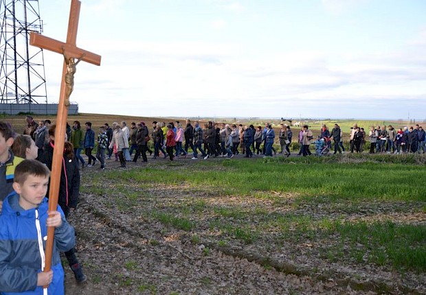 Pielgrzymka do Matki Bożej w lesie