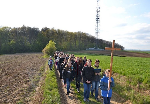 Pielgrzymka do Matki Bożej w lesie