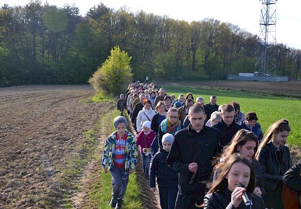 Pielgrzymka do Matki Bożej w lesie