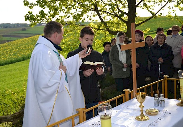 Pielgrzymka do Matki Bożej w lesie