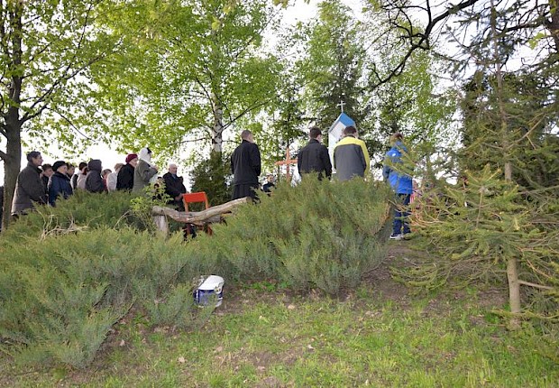 Pielgrzymka do Matki Bożej w lesie