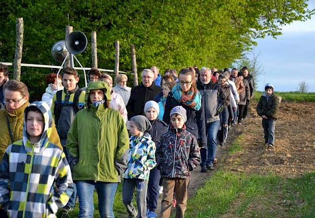 Pielgrzymka do Matki Bożej w lesie