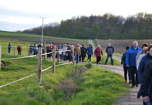 Pielgrzymka do Matki Bożej w lesie