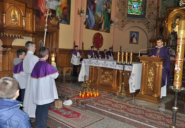 Młodzieżowa doga krzyżowa