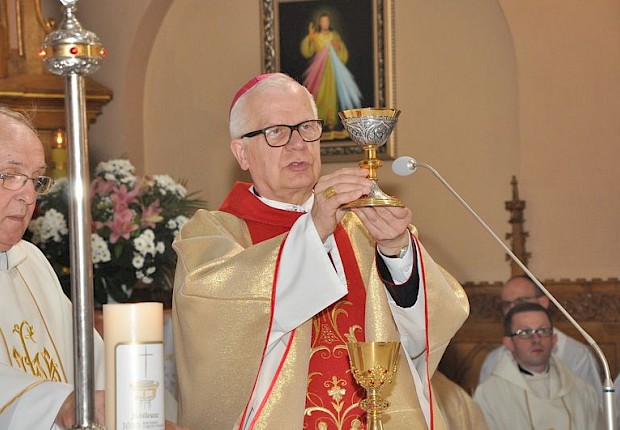 Posłanie misyjne ks. Łukasza Hołuba